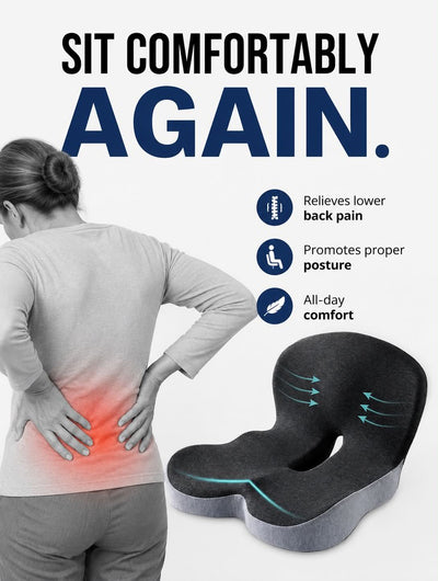 THE BACK SURVIVAL GUIDE