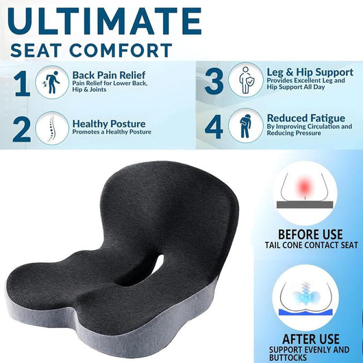 SpineEase